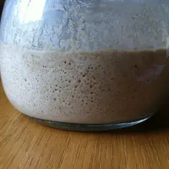 A bubblig surdeg i en glasburk, redo för ett torr surdeg recept.