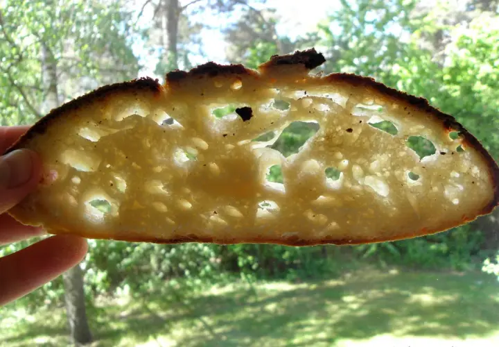 En skiva ljust bröd, perfekt för att baka levain utan surdeg. Den har stora, luftiga hål och en gyllene skorpa.
