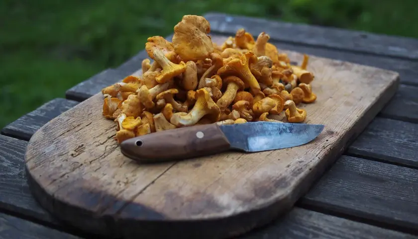 En hög med trattkantareller på en träskärbräda med en kniv. Perfekt för att frysa in och njuta av senare.