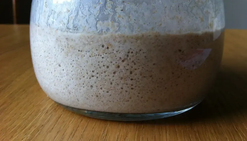A bubblig surdeg i en glasburk, redo för ett torr surdeg recept.