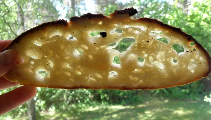 En skiva ljust bröd, perfekt för att baka levain utan surdeg. Den har stora, luftiga hål och en gyllene skorpa.