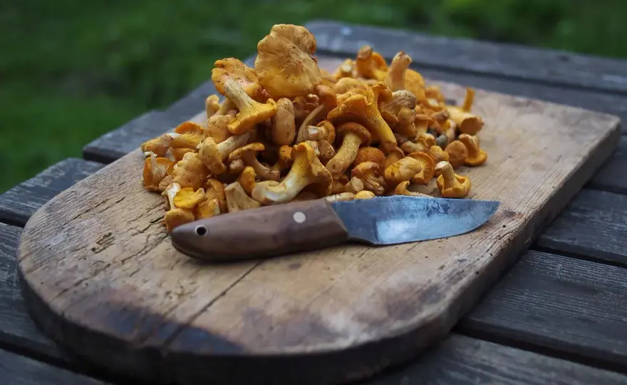 Frys trattkantareller rätt - så bevarar du smak och konsistens