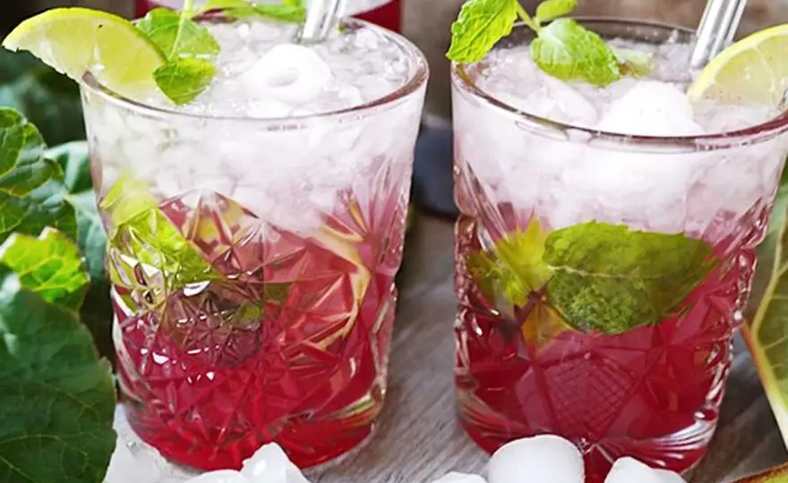 Rabarbermojito med rätt balans - recept och tips
