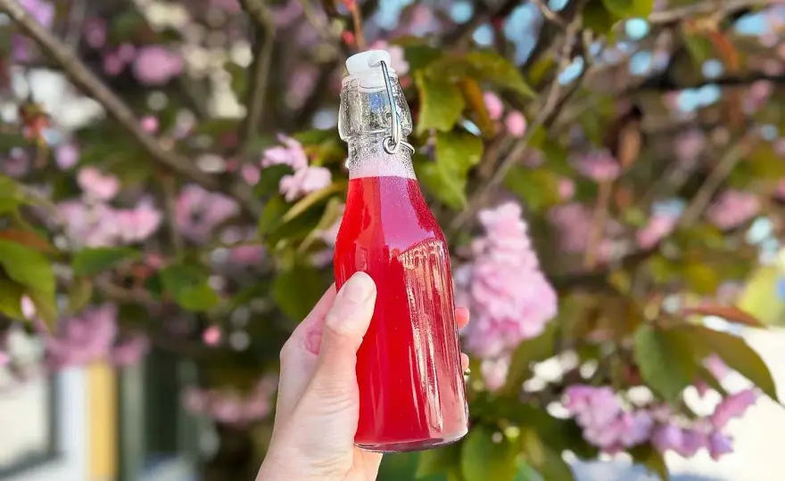 Rabarberdryck med rätt balans - saft, sirap och cocktail