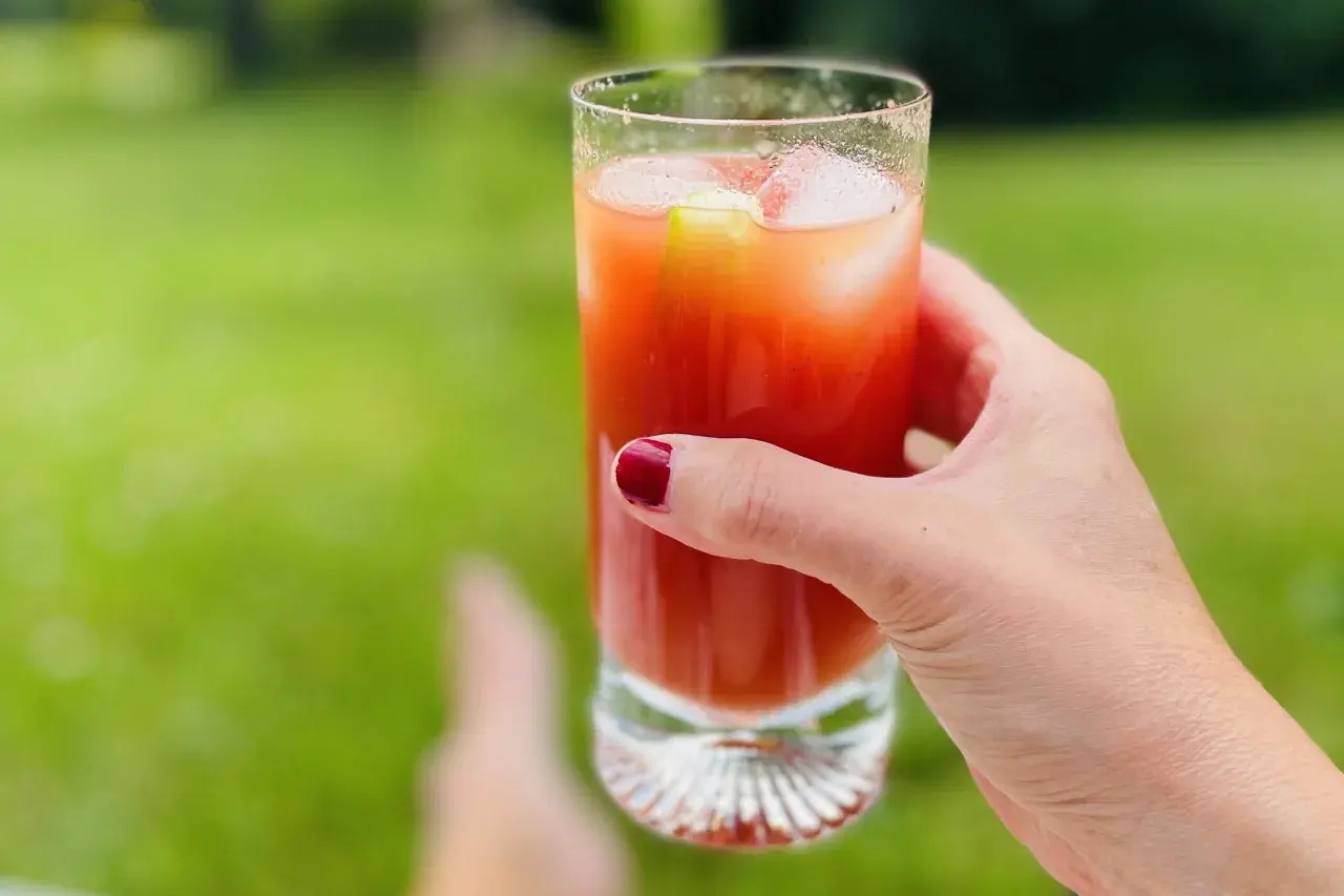 En hand håller ett glas med en röd drink, is och en gurkskiva. En perfekt bloody mary för en sommardag i trädgården.