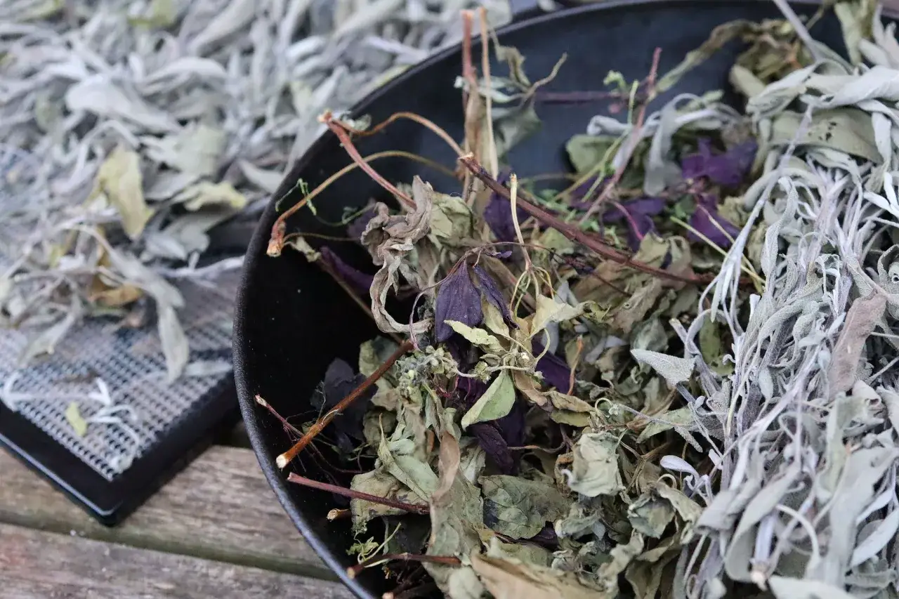 Torkad oregano och andra &ouml;rter i en sk&aring;l, redo f&ouml;r f&ouml;rvaring.
