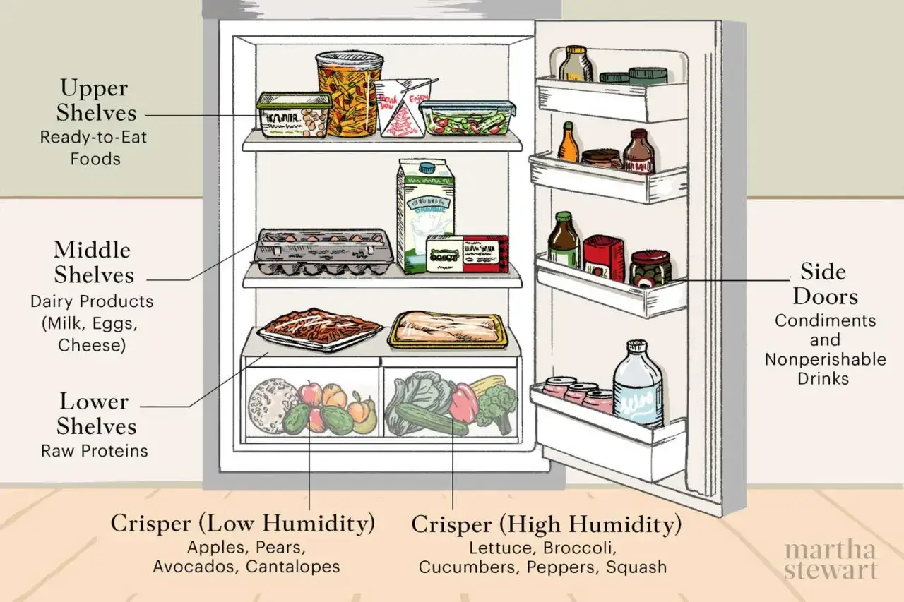 En illustration som visar placering av mat i kylsk&aring;p: f&auml;rdigmat h&ouml;gst upp, mejeriprodukter och &auml;gg i mitten, r&aring;tt k&ouml;tt l&auml;ngst ner. Sidod&ouml;rrarna har s&aring;ser och drycker.